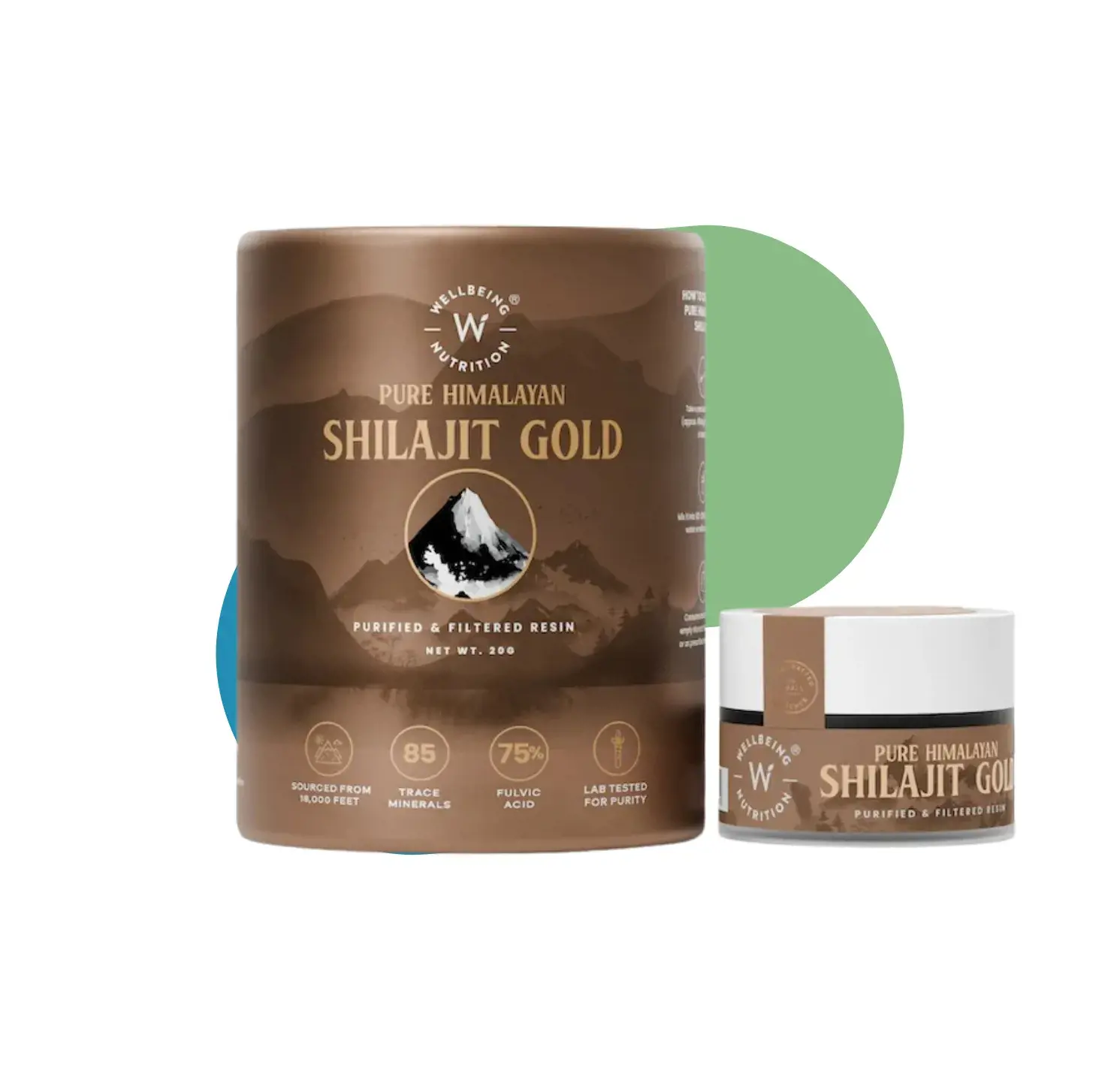 WB SHILAJIT GOLD 10 GM