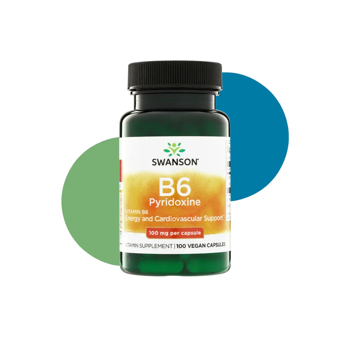 SA VITAMIN B6 PYRIDOXINE 100 MG 100 VEG CAPS